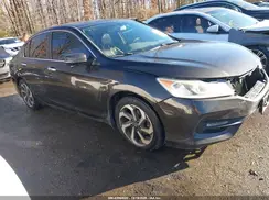 1HGCR2F80HA043210 2017 HONDA ACCORD