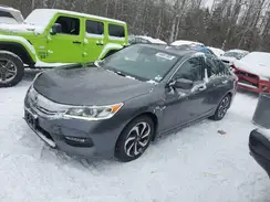 1HGCR2F80HA800462 2017 HONDA ACCORD
