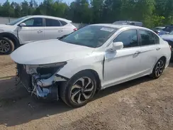 1HGCR2F80HA800851 2017 HONDA ACCORD