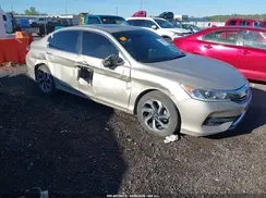 1HGCR2F81GA081687 2016 HONDA ACCORD