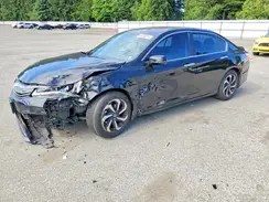 1HGCR2F81HA024262 2017 HONDA ACCORD