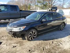 1HGCR2F81HA024293 2017 HONDA ACCORD