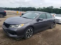 1HGCR2F81HA024407 2017 HONDA ACCORD