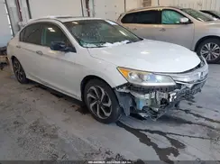 1HGCR2F81HA086437 2017 HONDA ACCORD