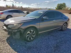 1HGCR2F81HA090228 2017 HONDA ACCORD