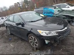 1HGCR2F81HA094392 2017 HONDA ACCORD