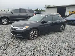 1HGCR2F81HA136981 2017 HONDA ACCORD