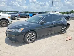 1HGCR2F81HA136995 2017 HONDA ACCORD