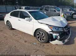 1HGCR2F81HA157443 2017 HONDA ACCORD