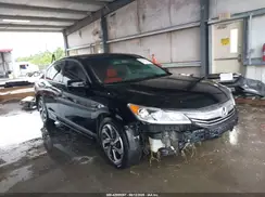 1HGCR2F81HA198042 2017 HONDA ACCORD