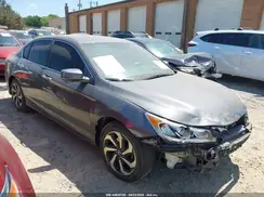 1HGCR2F81HA294205 2017 HONDA ACCORD