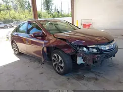 1HGCR2F82HA117517 2017 HONDA ACCORD