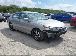 1HGCR2F82HA251637 2017 HONDA ACCORD
