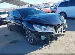 1HGCR2F83GA244629 2016 HONDA ACCORD