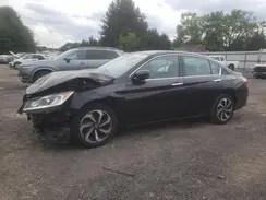 1HGCR2F83HA195515 2017 HONDA ACCORD