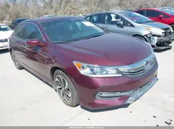 1HGCR2F83HA238198 2017 HONDA ACCORD