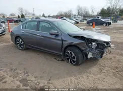 1HGCR2F84HA126316 2017 HONDA ACCORD