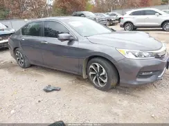 1HGCR2F84HA137607 2017 HONDA ACCORD
