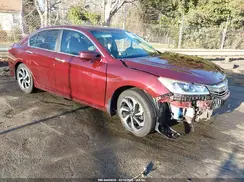 1HGCR2F84HA186466 2017 HONDA ACCORD