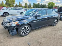 1HGCR2F85HA055515 2017 HONDA ACCORD