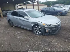 1HGCR2F86HA002564 2017 HONDA ACCORD