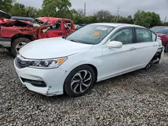 1HGCR2F86HA239572 2017 HONDA ACCORD