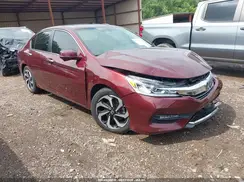 1HGCR2F87GA101330 2016 HONDA ACCORD