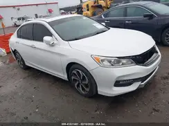 1HGCR2F87HA003903 2017 HONDA ACCORD