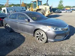 1HGCR2F87HA102981 2017 HONDA ACCORD
