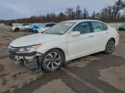 1HGCR2F87HA307037 2017 HONDA ACCORD