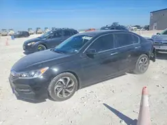 1HGCR2F88GA204336 2016 HONDA ACCORD