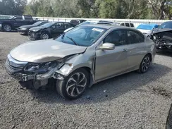 1HGCR2F88HA101306 2017 HONDA ACCORD