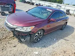 1HGCR2F88HA117523 2017 HONDA ACCORD