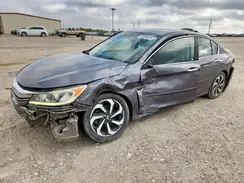 1HGCR2F88HA245518 2017 HONDA ACCORD
