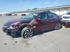 1HGCR2F89HA143662 2017 HONDA ACCORD