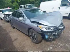 1HGCR2F89HA214455 2017 HONDA ACCORD