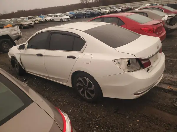 1HGCR2F93HA211981 2017 HONDA ACCORD - Image 2