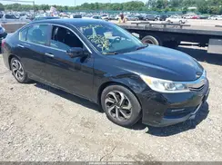 1HGCR2F97HA003859 2017 HONDA ACCORD