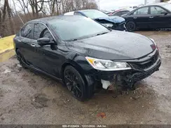 1HGCR2F97HA202460 2017 HONDA ACCORD