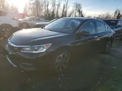 1HGCR2F98HA003868 2017 HONDA ACCORD