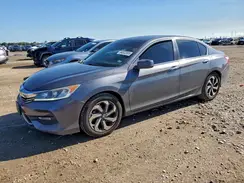 1HGCR2F98HA238366 2017 HONDA ACCORD