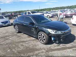 1HGCR3F01HA025704 2017 HONDA ACCORD
