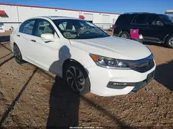 1HGCR3F02HA005090 2017 HONDA ACCORD