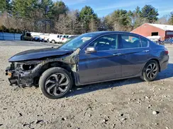 1HGCR3F02HA022035 2017 HONDA ACCORD