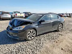 1HGCR3F03GA008711 2016 HONDA ACCORD