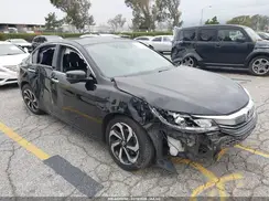 1HGCR3F03HA004787 2017 HONDA ACCORD