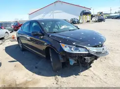 1HGCR3F03HA005552 2017 HONDA ACCORD