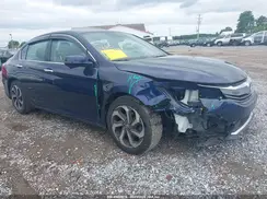 1HGCR3F07HA043852 2017 HONDA ACCORD