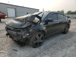 1HGCR3F80HA007815 2017 HONDA ACCORD