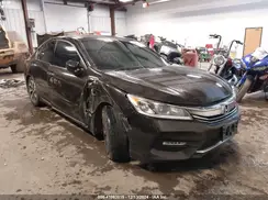 1HGCR3F80HA008480 2017 HONDA ACCORD